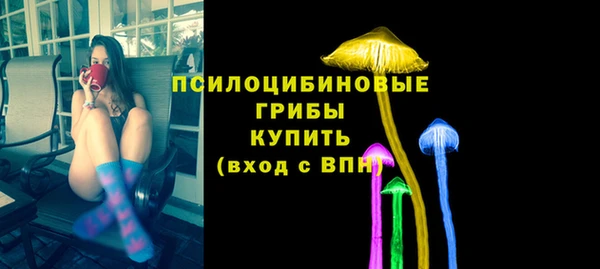 марки lsd Вяземский
