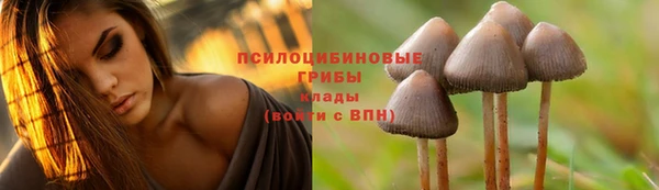альфа пвп Вязьма
