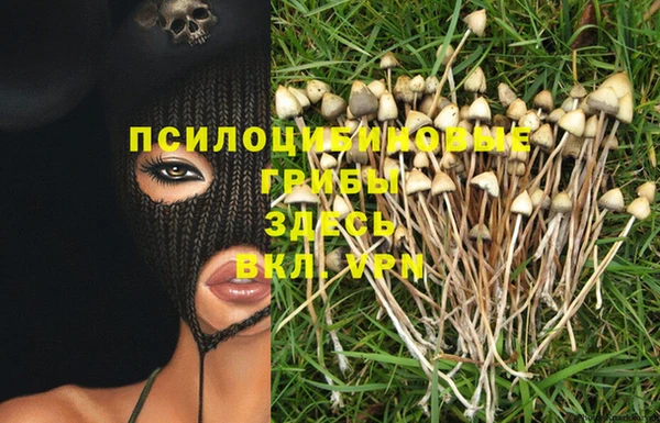 сатива Горнозаводск