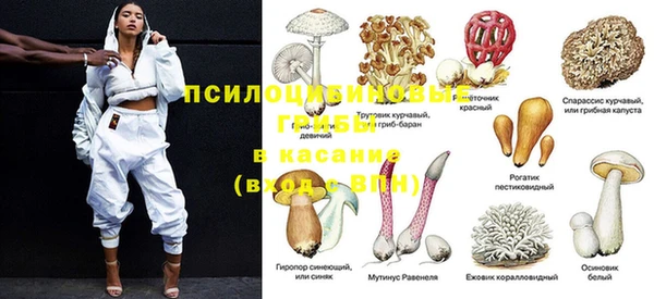 марки lsd Вяземский
