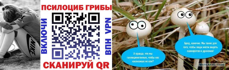 Галлюциногенные грибы Psilocybine cubensis  Купить закладки  Мценск 